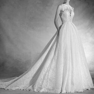 Atelier Pronovias "Neus" Wedding Gown (Unaltered)